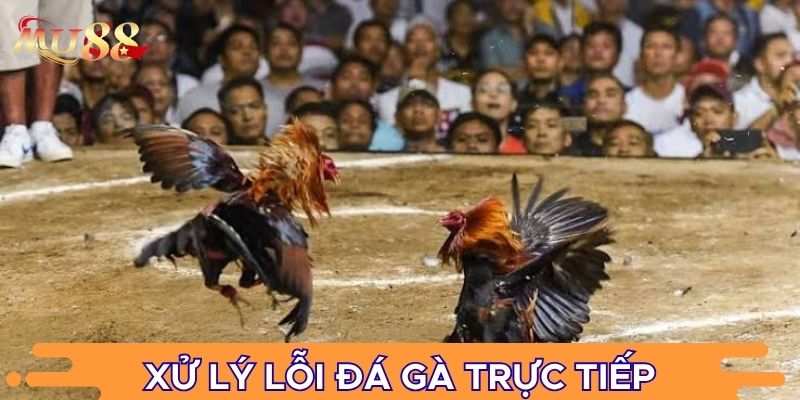 Xử lý lỗi đá gà trực tiếp