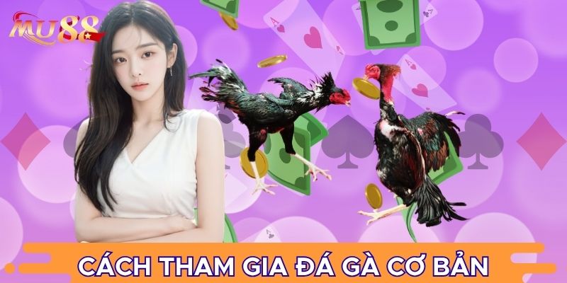 Cách tham gia đá gà cơ bản