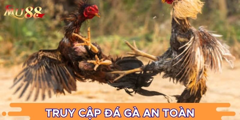 Truy cập đá gà an toàn